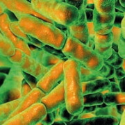 ferments lactiques Probioxyl - Laboratoire Naturoscience