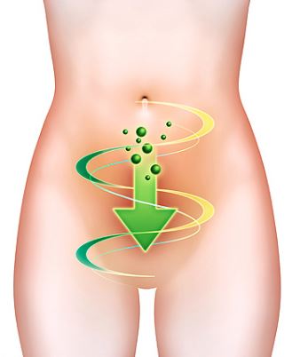 Corps sain purifier le côlon - Laboratoire Naturoscience