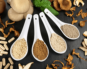 Heilpilze Vitalpilze - Naturoscience