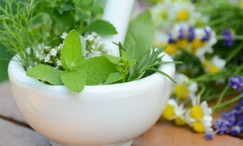 plantes_principes actifs - Laboratoire-Naturoscience.fr